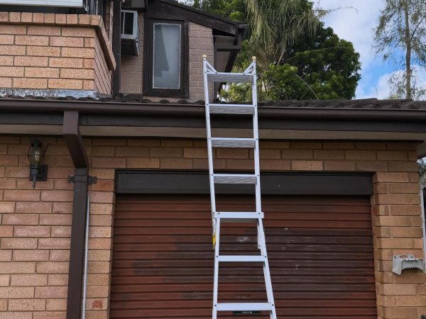 PestGuard Sydney pest control job