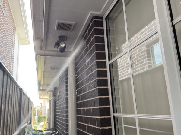 PestGuard Sydney pest control job