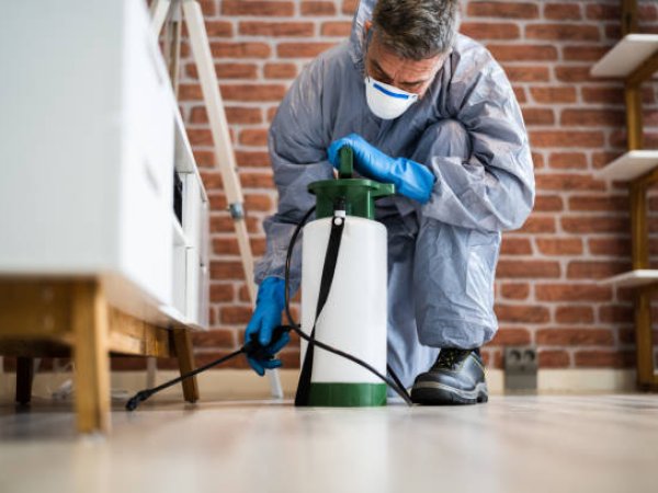 Termite Inspections & Treatment treatment in South West Sydney